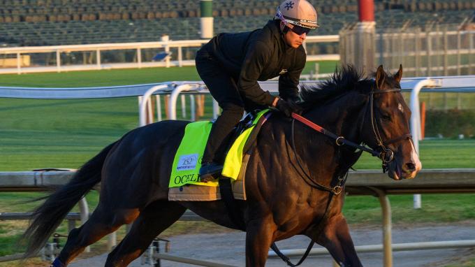 Sensational Saudi Cup: Forever Young Edges Romantic Warrior