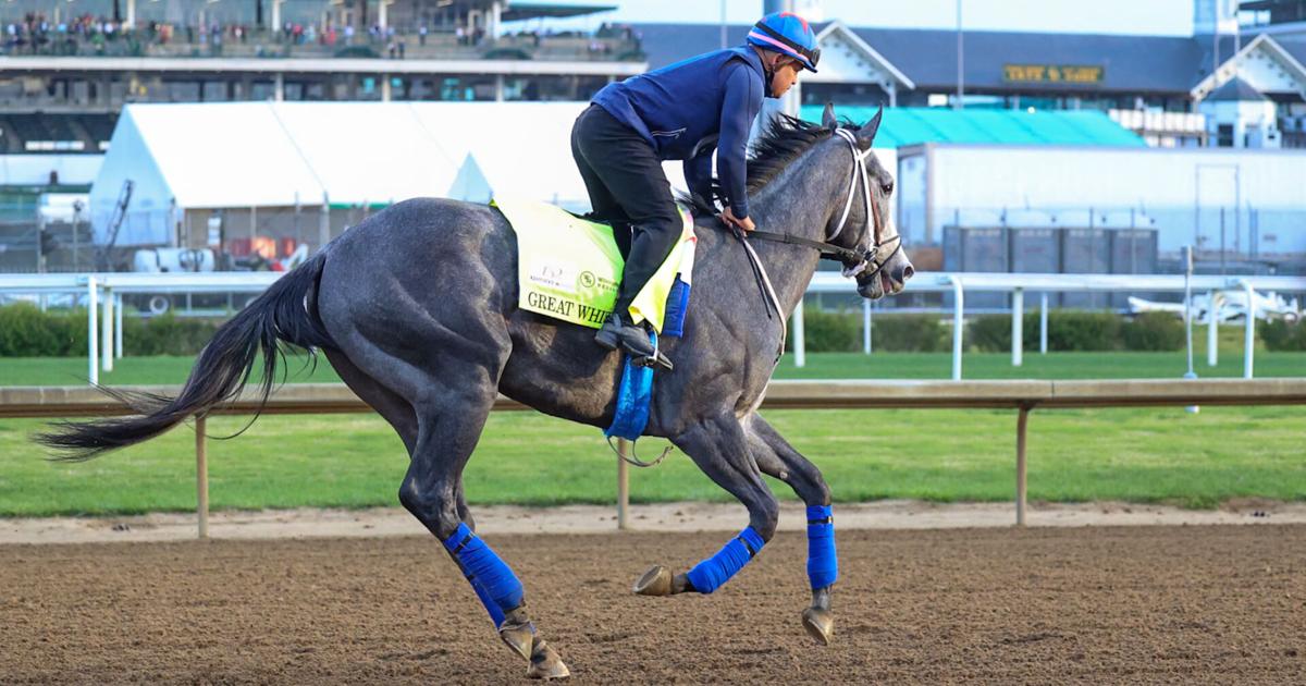 Sensational Saudi Cup: Forever Young Edges Romantic Warrior