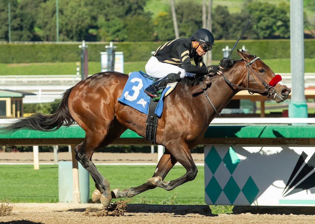 Sensational Saudi Cup: Forever Young Edges Romantic Warrior