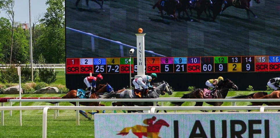 Sensational Saudi Cup: Forever Young Edges Romantic Warrior