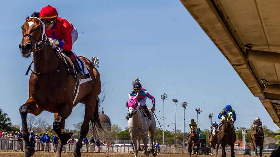 Sensational Saudi Cup: Forever Young Edges Romantic Warrior