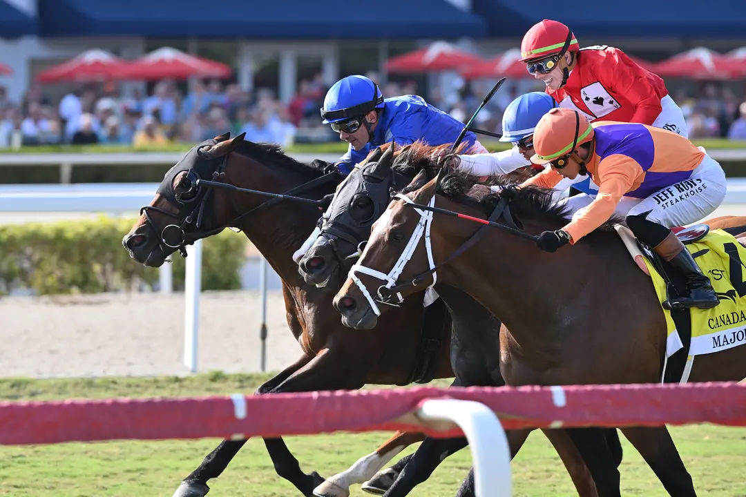 Sensational Saudi Cup: Forever Young Edges Romantic Warrior
