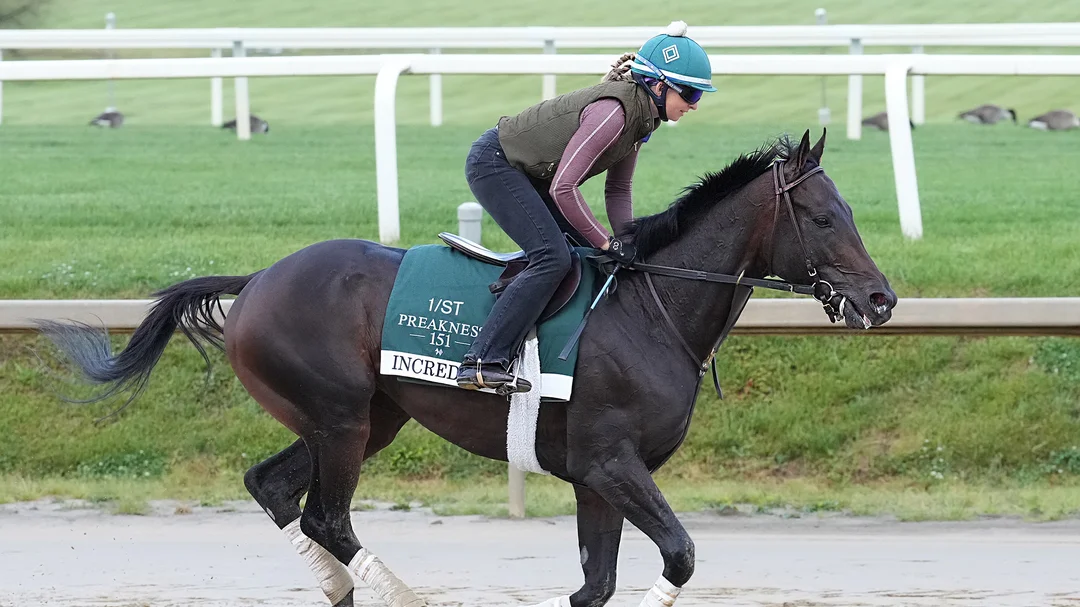 Sensational Saudi Cup: Forever Young Edges Romantic Warrior