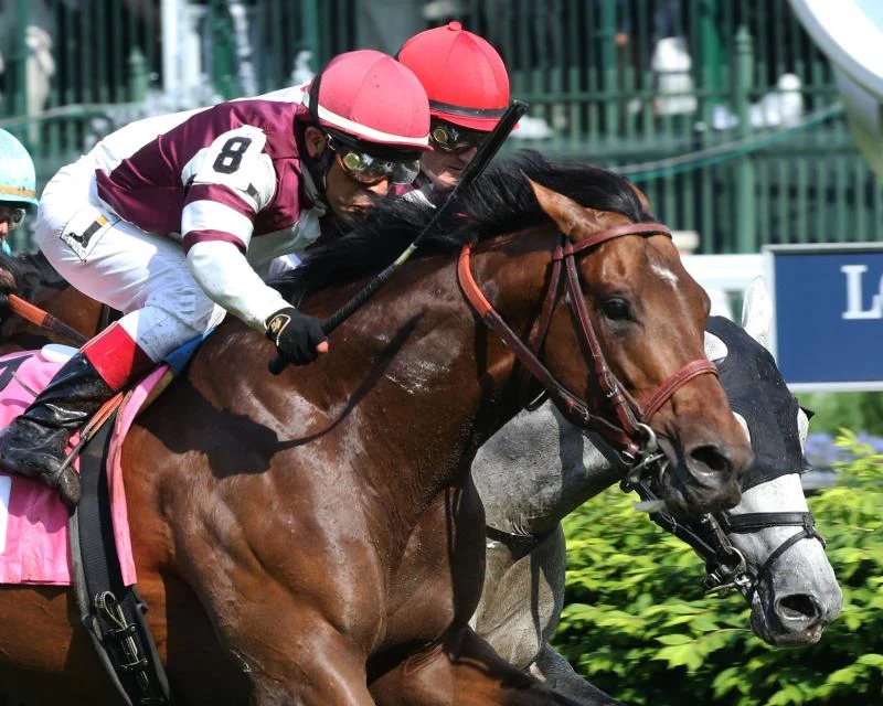 Sensational Saudi Cup: Forever Young Edges Romantic Warrior
