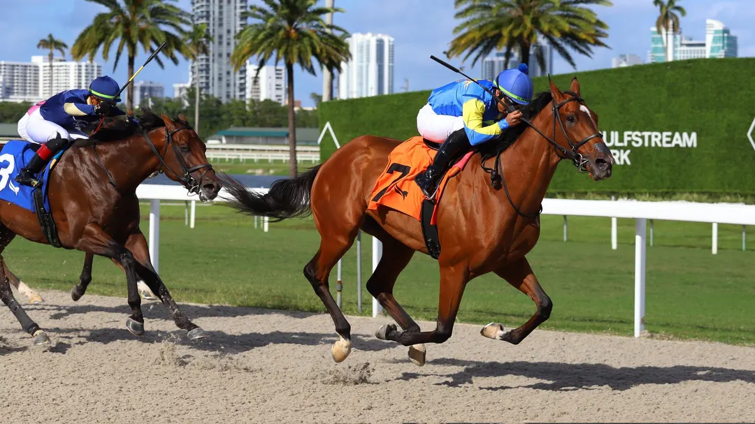 Sensational Saudi Cup: Forever Young Edges Romantic Warrior