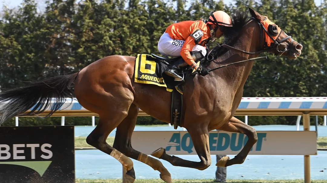 Sensational Saudi Cup: Forever Young Edges Romantic Warrior