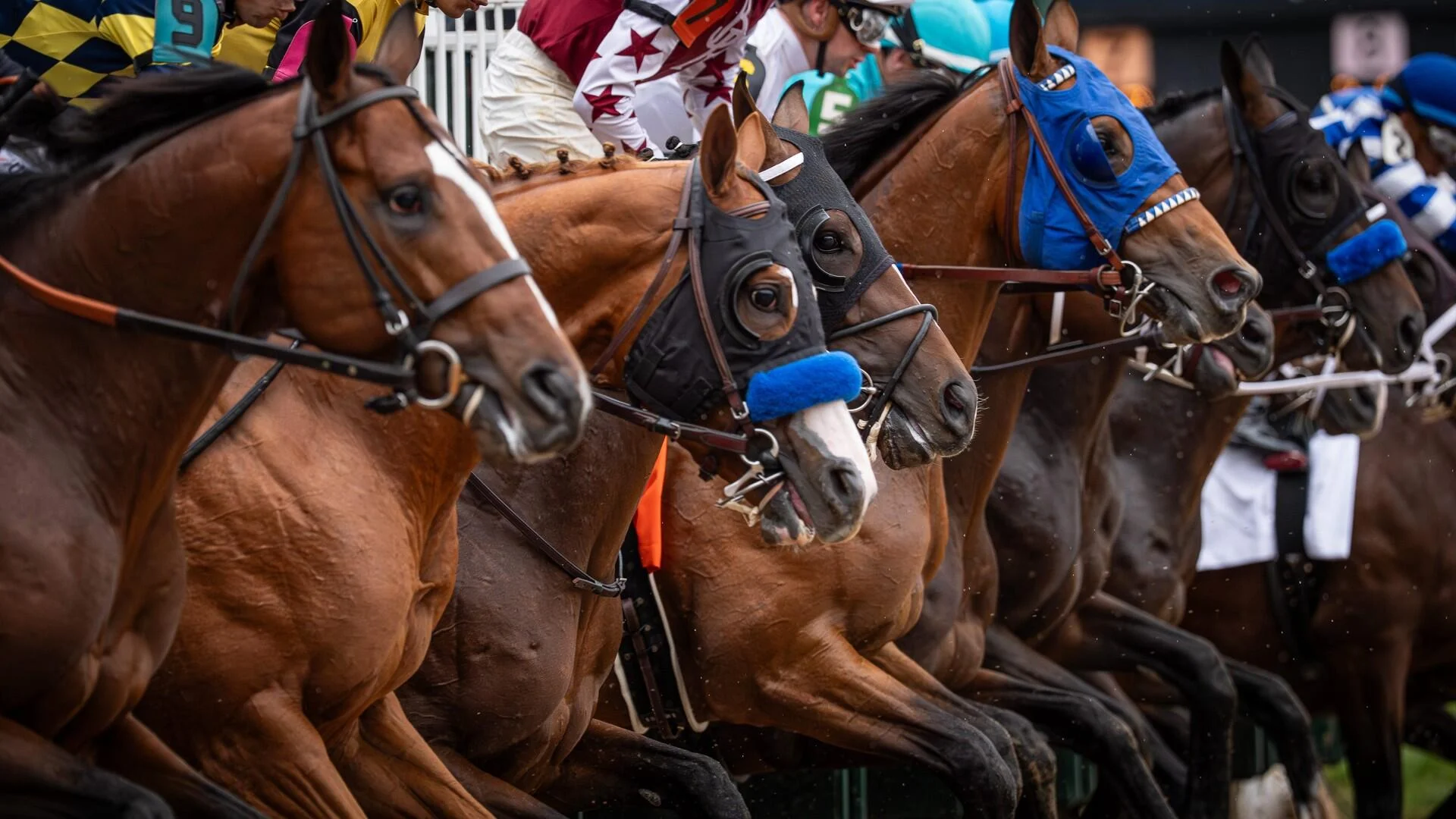 Sensational Saudi Cup: Forever Young Edges Romantic Warrior
