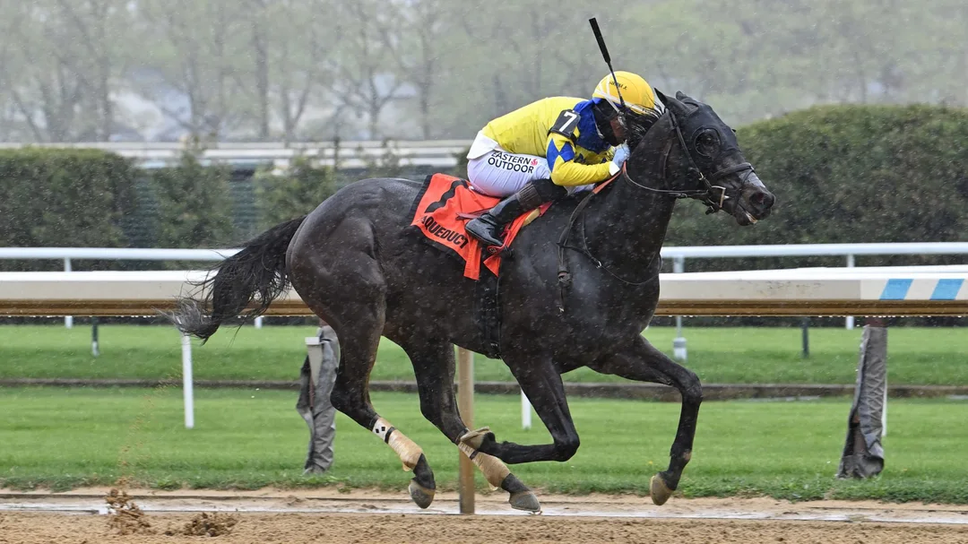 Sensational Saudi Cup: Forever Young Edges Romantic Warrior