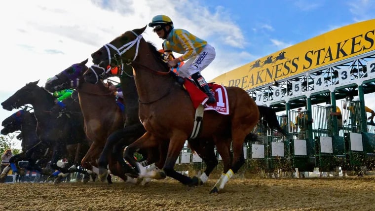 Sensational Saudi Cup: Forever Young Edges Romantic Warrior