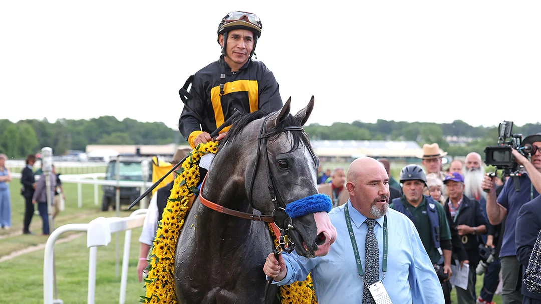 Preakness Stakes Winner Napoleon Solo Targets the Haskell, not the Belmont Stakes .. US Racing