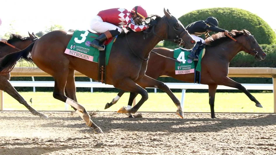 Sensational Saudi Cup: Forever Young Edges Romantic Warrior