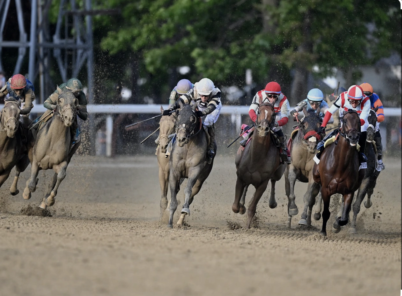 Sensational Saudi Cup: Forever Young Edges Romantic Warrior