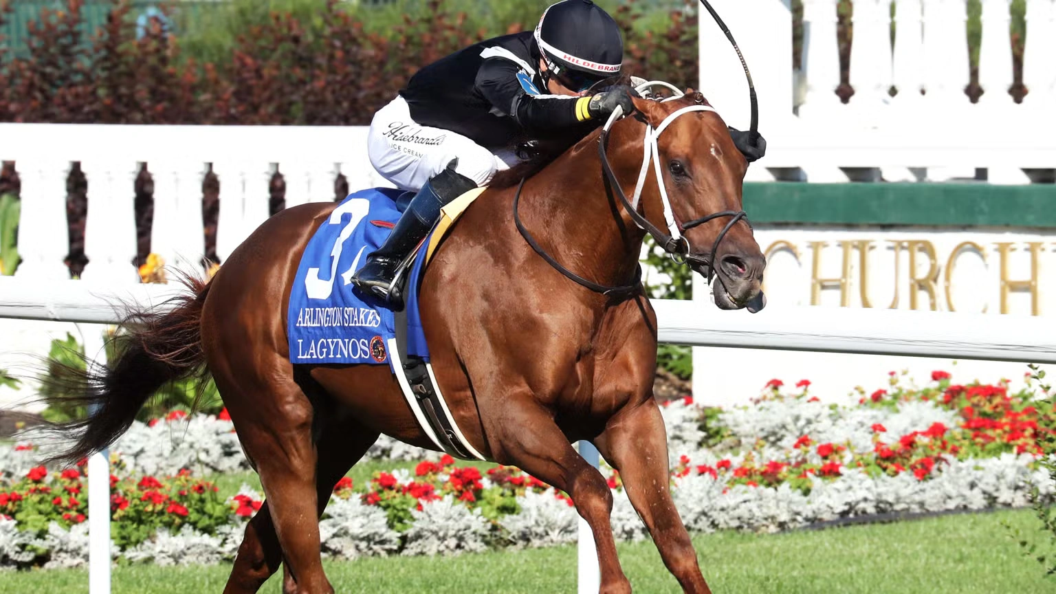 Sensational Saudi Cup: Forever Young Edges Romantic Warrior