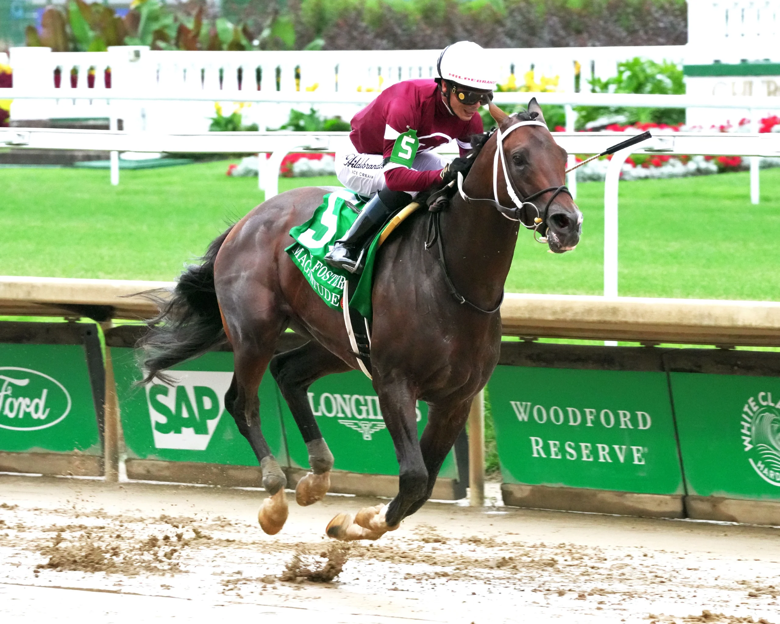 Sensational Saudi Cup: Forever Young Edges Romantic Warrior