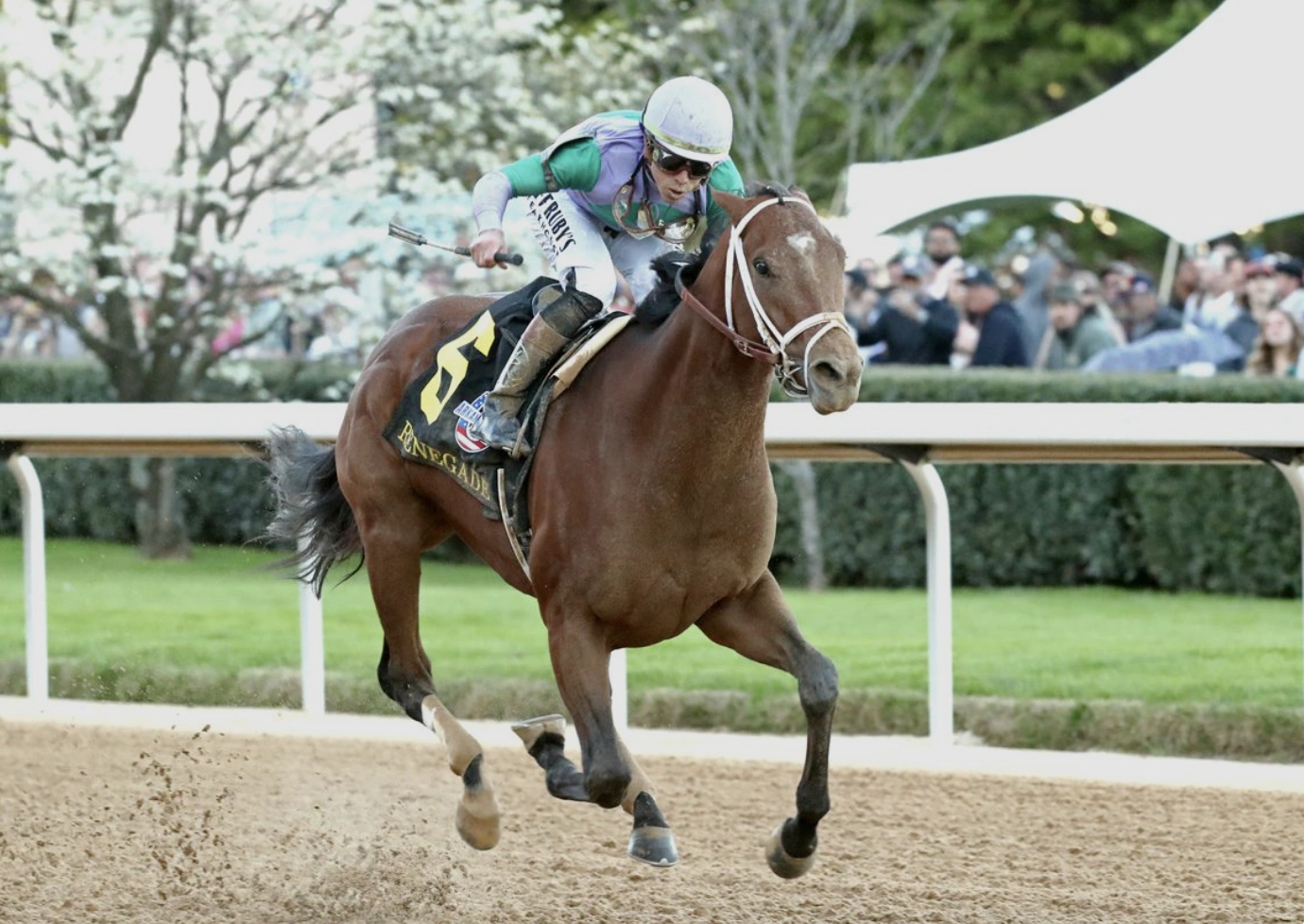 Sensational Saudi Cup: Forever Young Edges Romantic Warrior