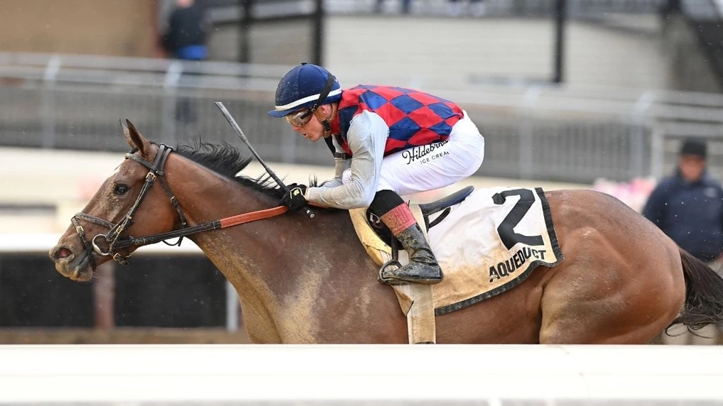 Sensational Saudi Cup: Forever Young Edges Romantic Warrior