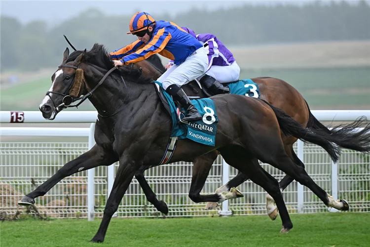 Sensational Saudi Cup: Forever Young Edges Romantic Warrior