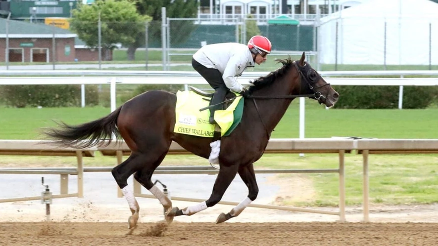 Sensational Saudi Cup: Forever Young Edges Romantic Warrior
