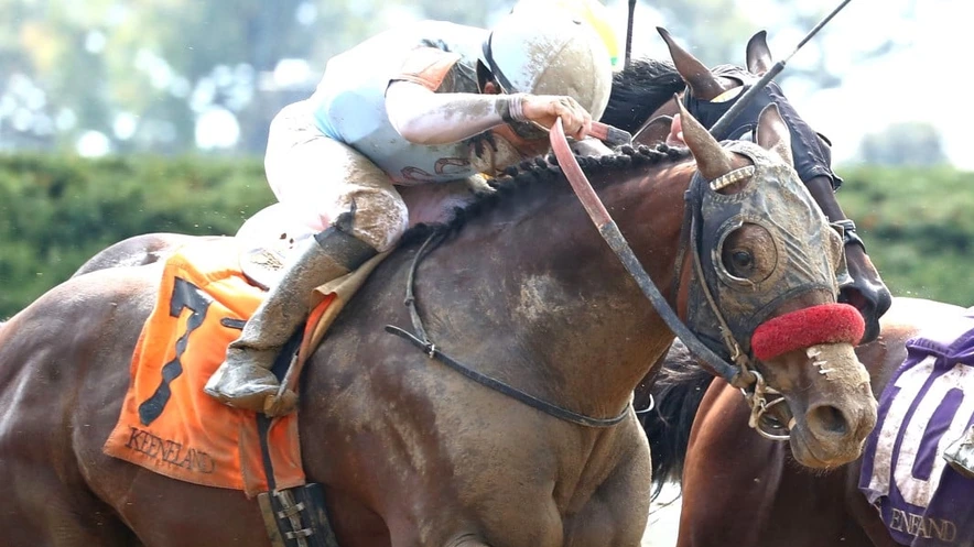Sensational Saudi Cup: Forever Young Edges Romantic Warrior