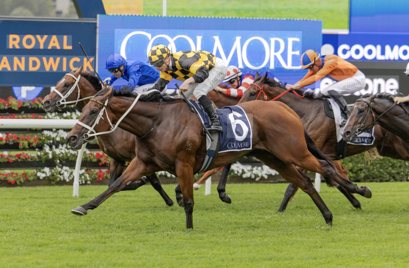 Sensational Saudi Cup: Forever Young Edges Romantic Warrior