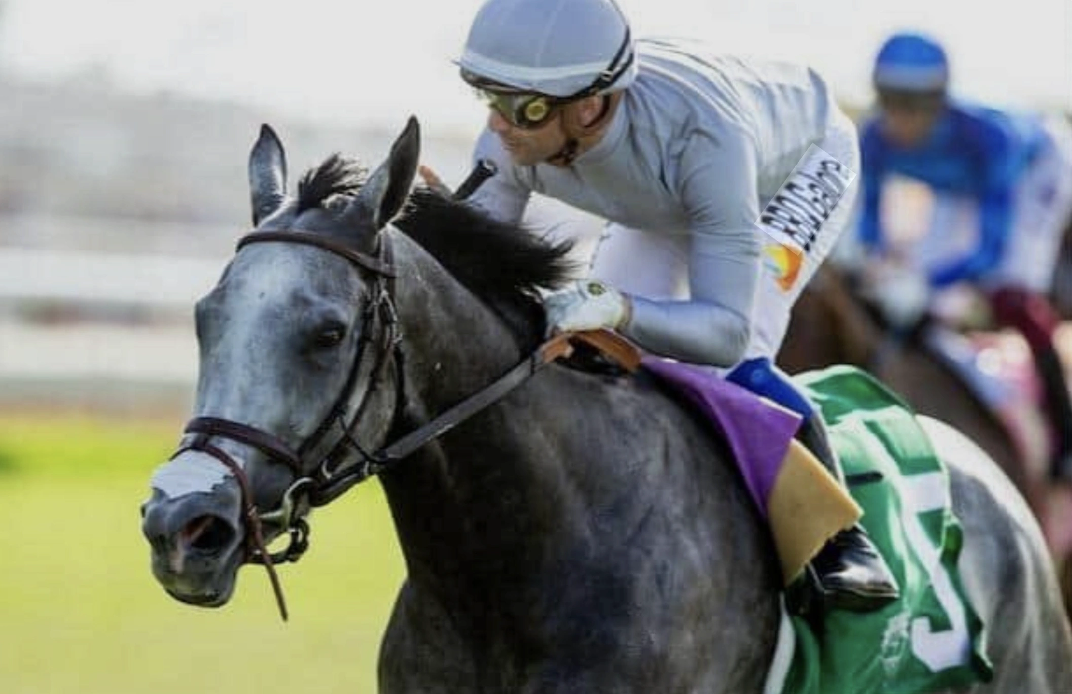 Sensational Saudi Cup: Forever Young Edges Romantic Warrior