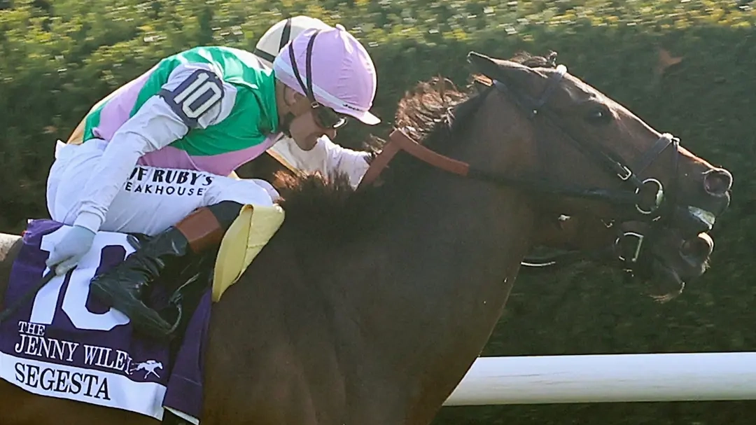 Sensational Saudi Cup: Forever Young Edges Romantic Warrior