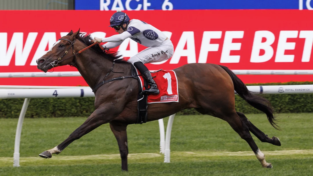 Sensational Saudi Cup: Forever Young Edges Romantic Warrior