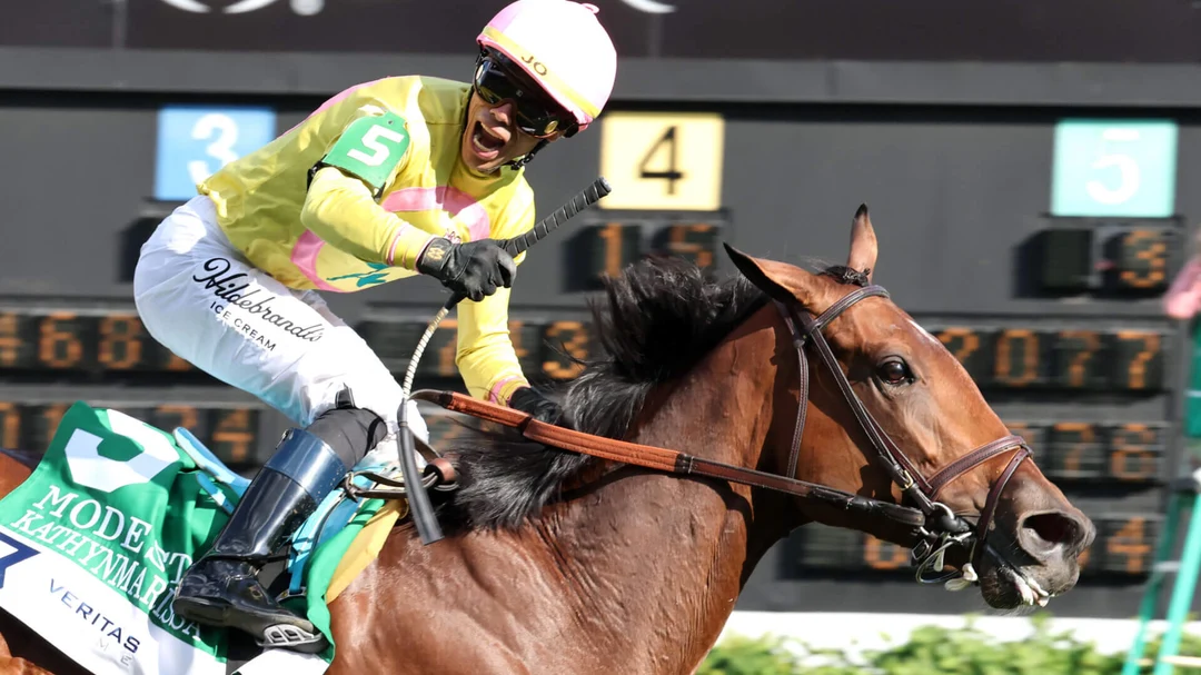 Sensational Saudi Cup: Forever Young Edges Romantic Warrior