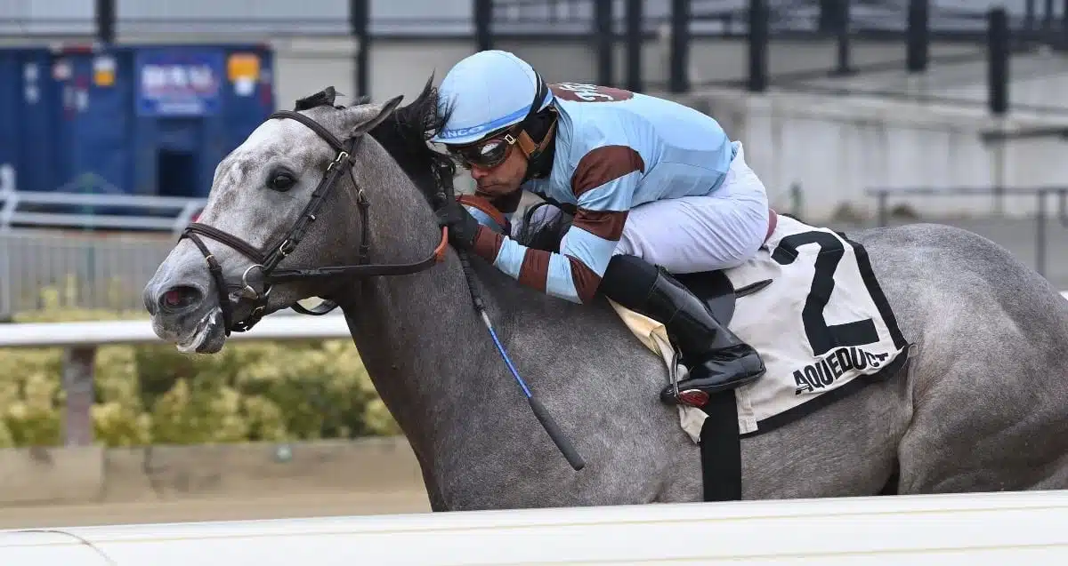 Sensational Saudi Cup: Forever Young Edges Romantic Warrior