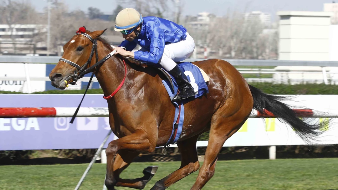 Sensational Saudi Cup: Forever Young Edges Romantic Warrior