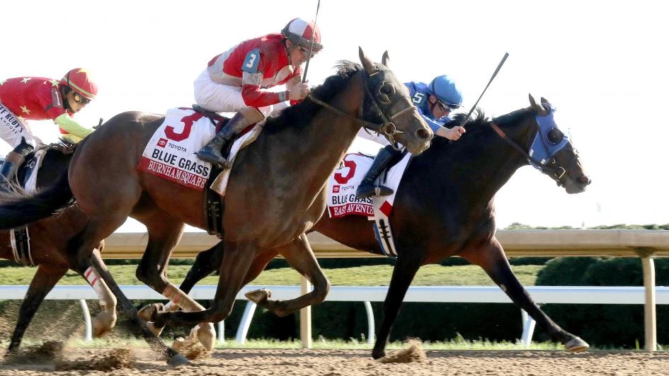 Sensational Saudi Cup: Forever Young Edges Romantic Warrior