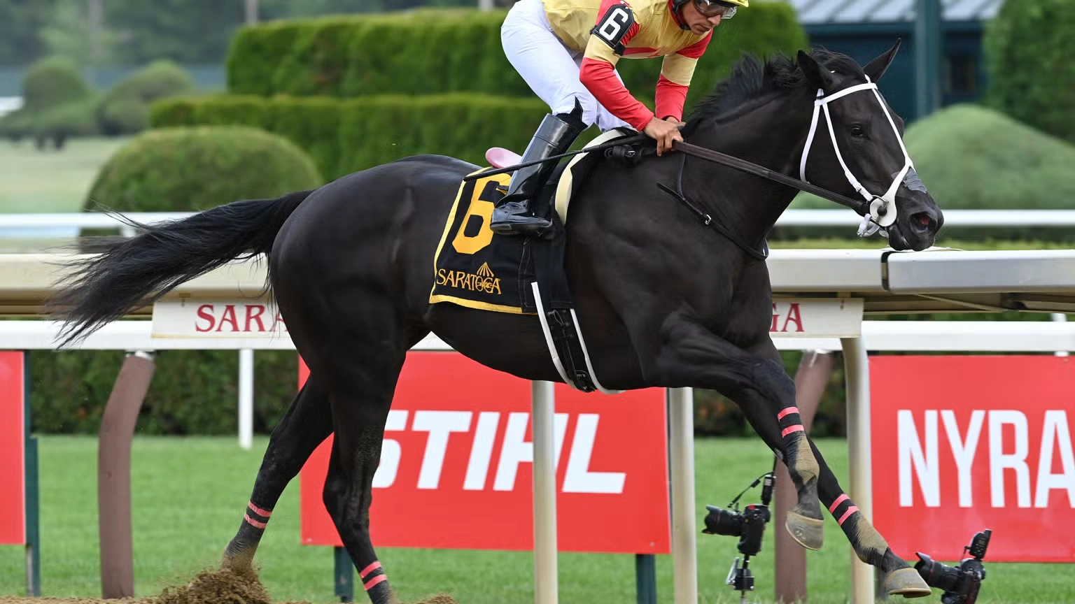 Sensational Saudi Cup: Forever Young Edges Romantic Warrior