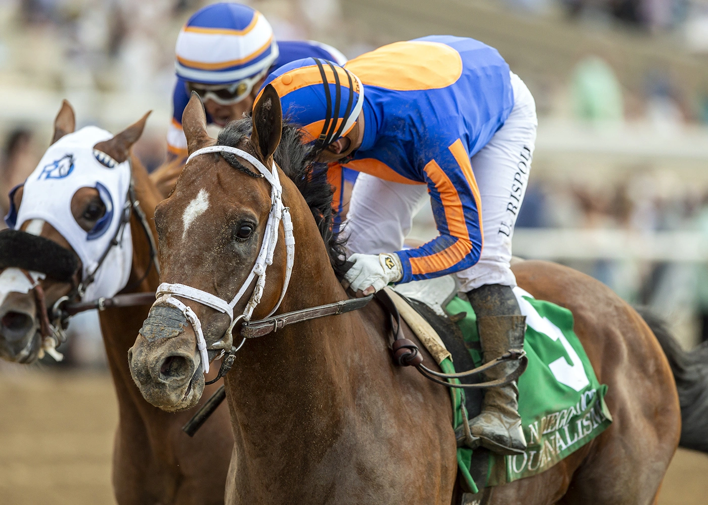 Sensational Saudi Cup: Forever Young Edges Romantic Warrior