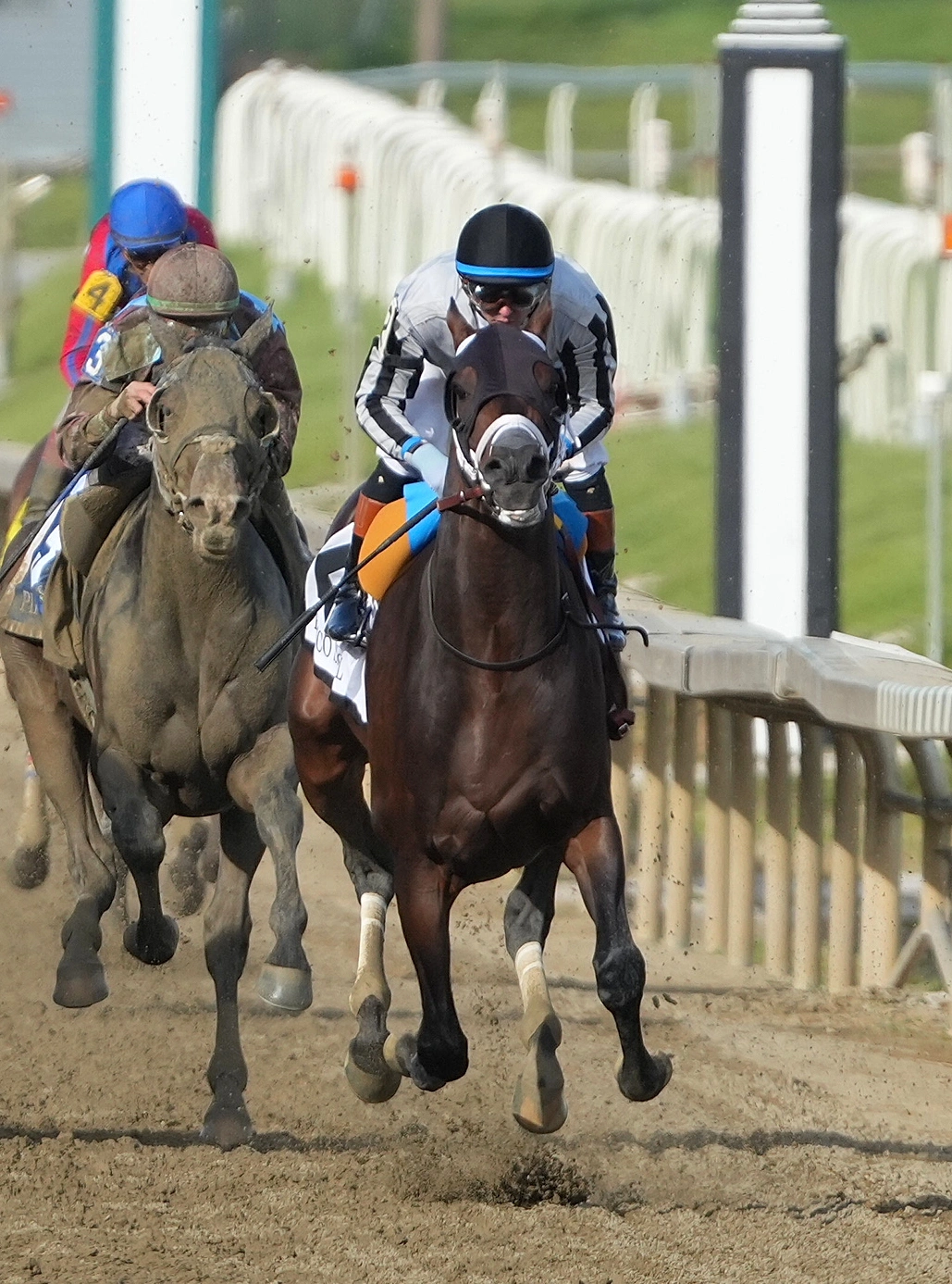 Sensational Saudi Cup: Forever Young Edges Romantic Warrior