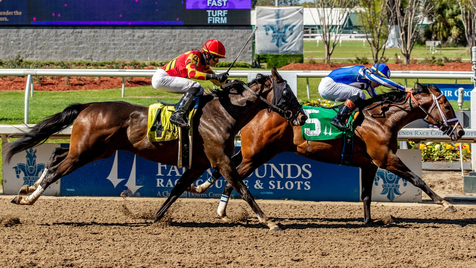 Sensational Saudi Cup: Forever Young Edges Romantic Warrior