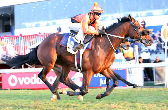 Sensational Saudi Cup: Forever Young Edges Romantic Warrior