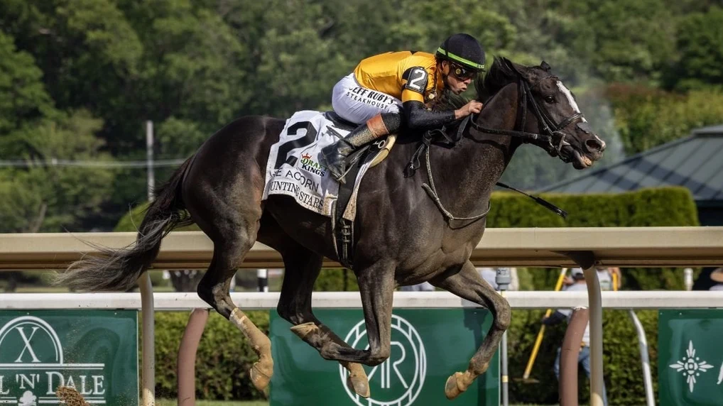 Sensational Saudi Cup: Forever Young Edges Romantic Warrior