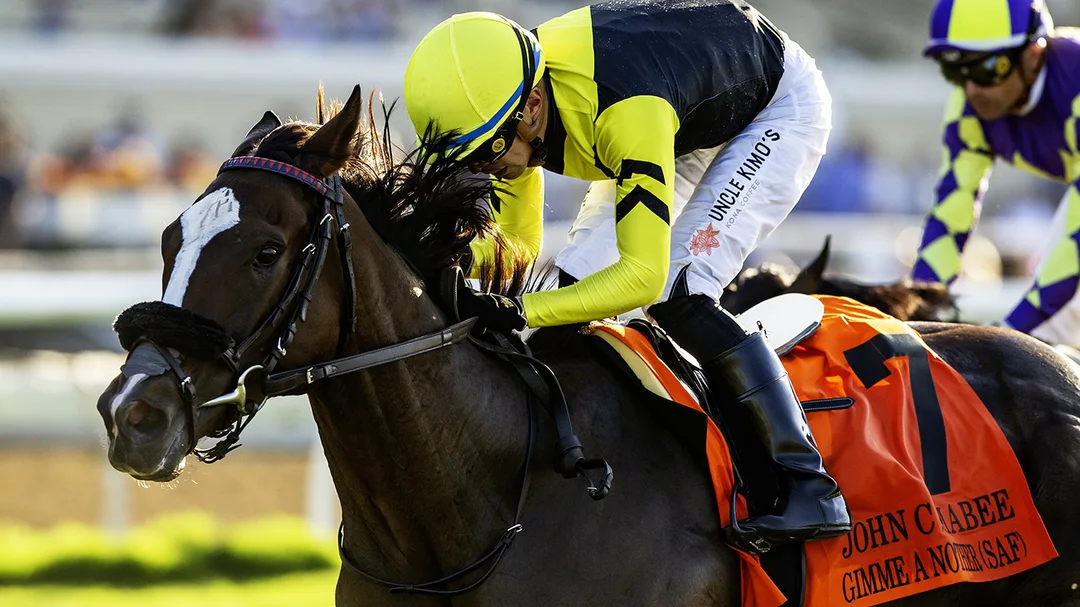Sensational Saudi Cup: Forever Young Edges Romantic Warrior