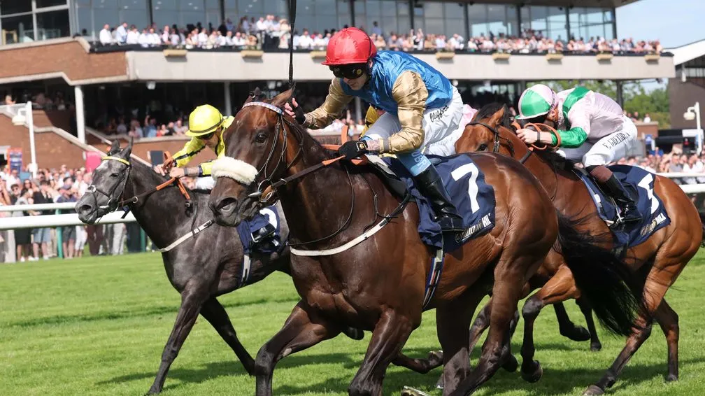 Sensational Saudi Cup: Forever Young Edges Romantic Warrior