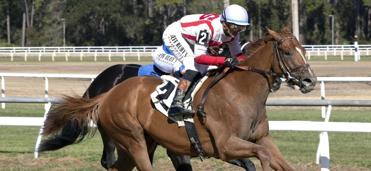 Sensational Saudi Cup: Forever Young Edges Romantic Warrior