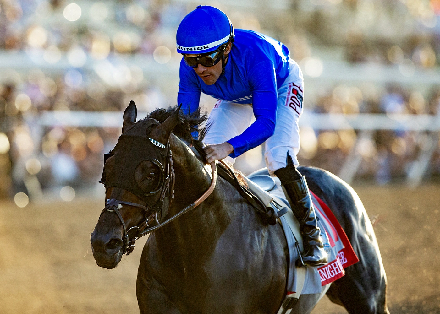 Sensational Saudi Cup: Forever Young Edges Romantic Warrior