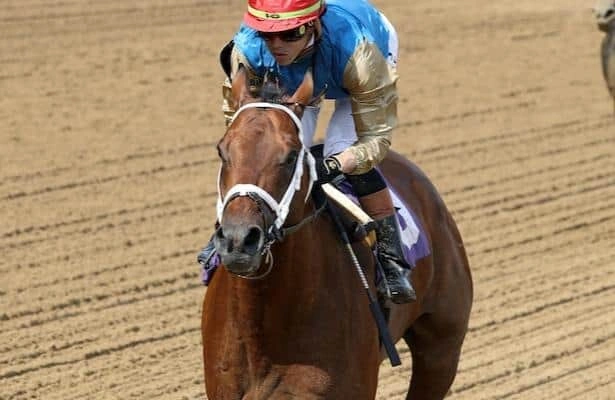 Sensational Saudi Cup: Forever Young Edges Romantic Warrior