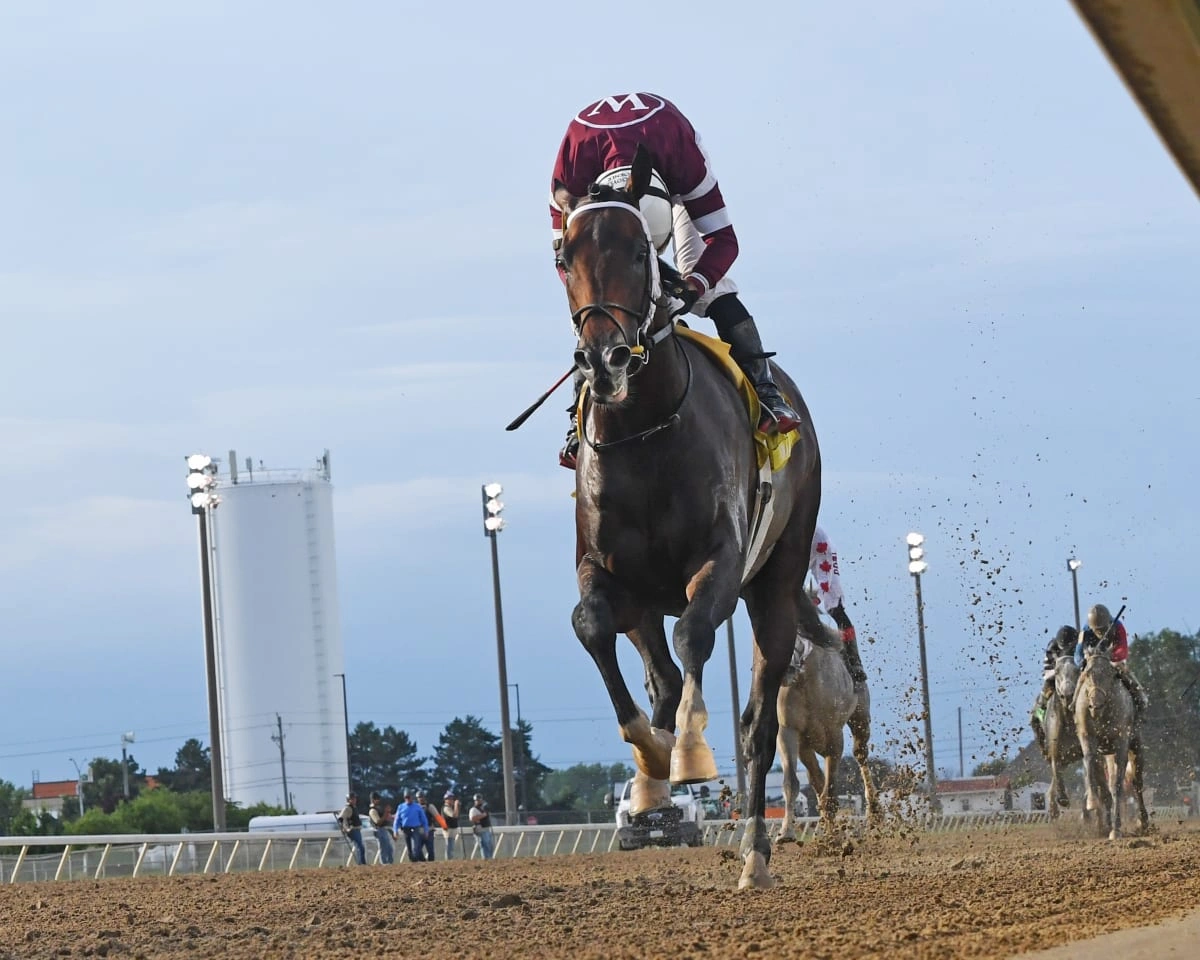 Sensational Saudi Cup: Forever Young Edges Romantic Warrior