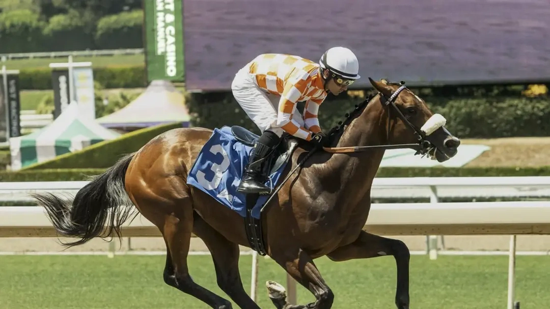 Sensational Saudi Cup: Forever Young Edges Romantic Warrior