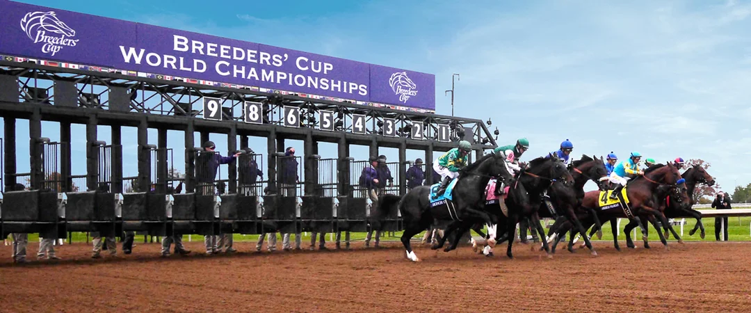 Sensational Saudi Cup: Forever Young Edges Romantic Warrior