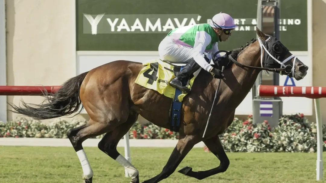 Sensational Saudi Cup: Forever Young Edges Romantic Warrior