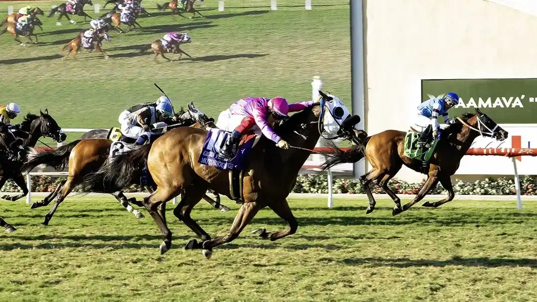 Sensational Saudi Cup: Forever Young Edges Romantic Warrior
