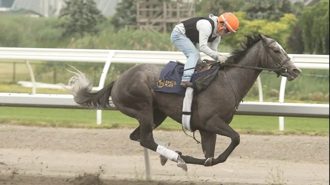 Sensational Saudi Cup: Forever Young Edges Romantic Warrior