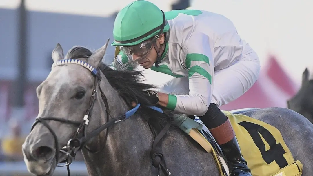 Sensational Saudi Cup: Forever Young Edges Romantic Warrior