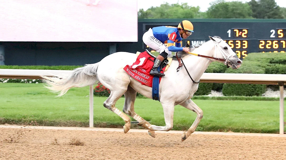 Whitney Stakes Betting: Is White Abarrio Ready to Spring an Upset?